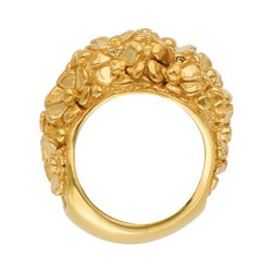 Roberta Rocco Ring