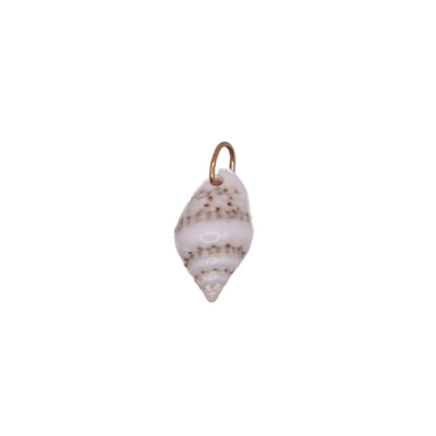 Seashell Charms