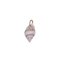 Seashell Charms