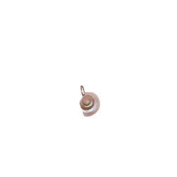 Seashell Charms