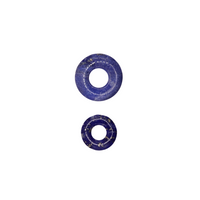 Lapis Lazuli Charm