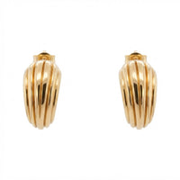 Caterpillar earrings