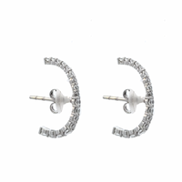 Zircon Hugger Earrings