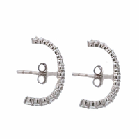 Zircon Hugger Earrings