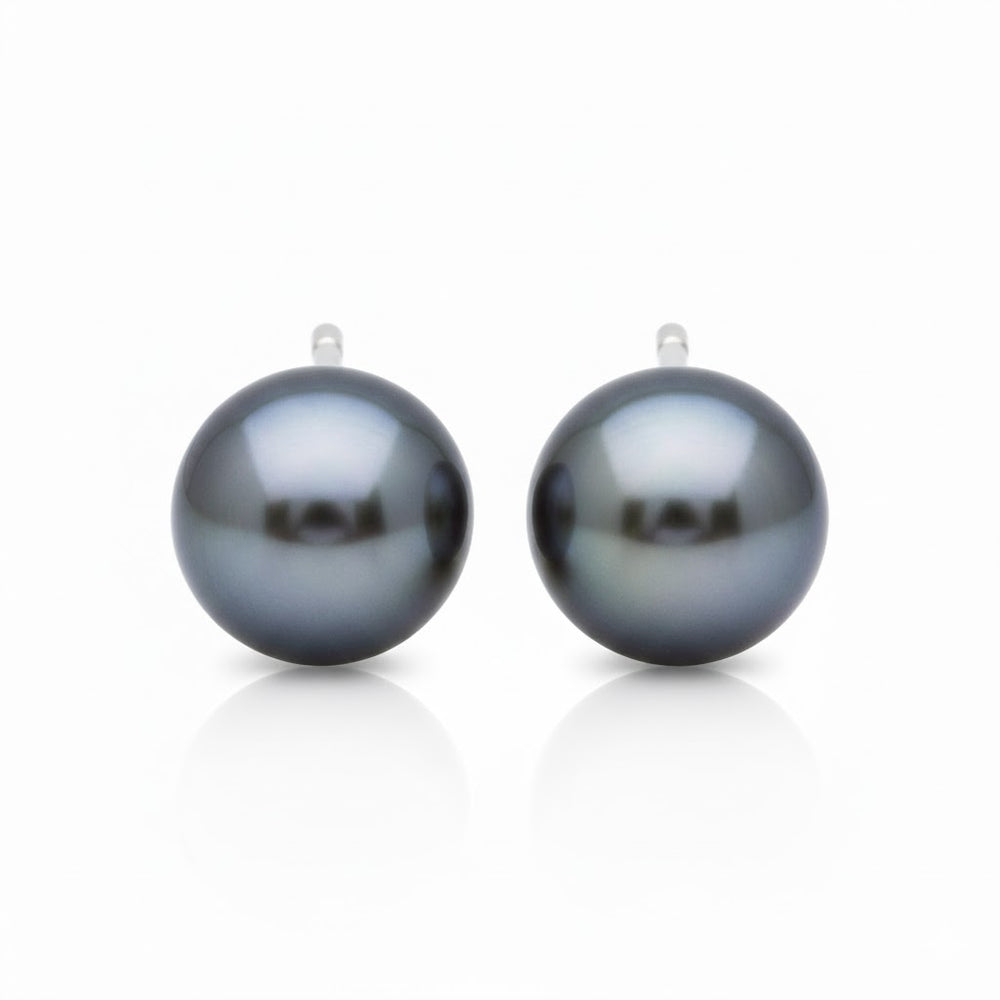 Tahiti Pearl Studs