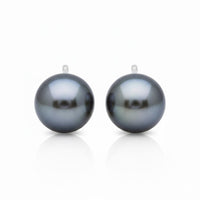 Tahiti Pearl Studs