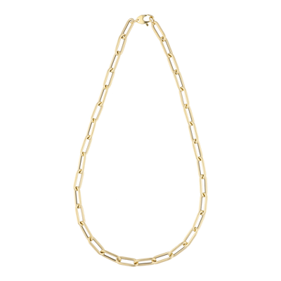 Long Link Necklace