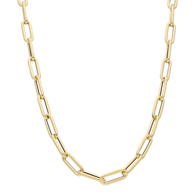 Long Link Necklace